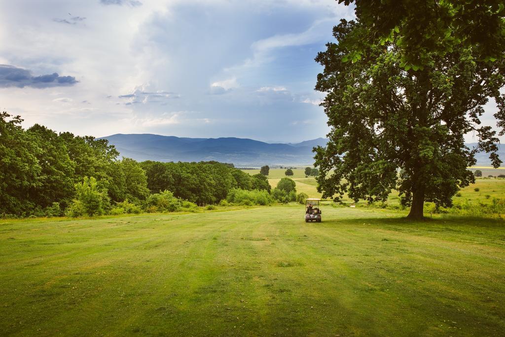 Golf Hotel Pianu Pianu de Jos Экстерьер фото
